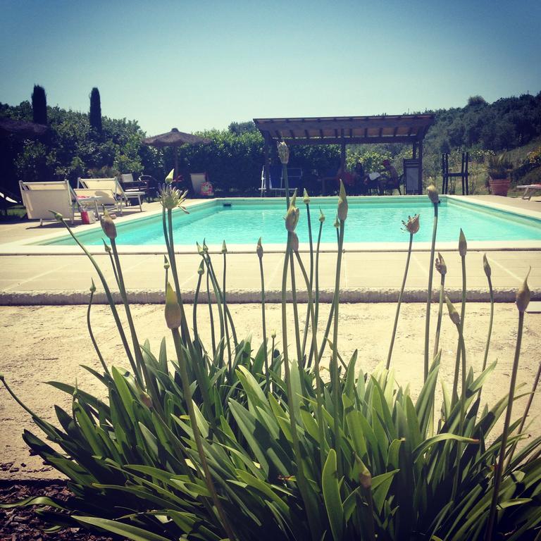 Il Borghetto Andrea Tafi Pensionat Lamporecchio Exteriör bild